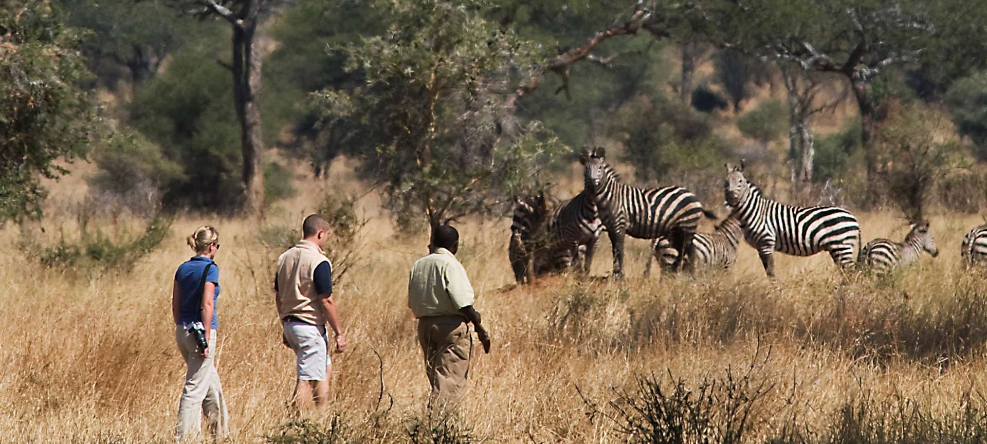 Tarangire National Park